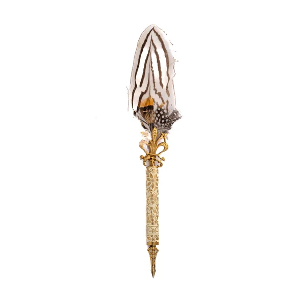 GOLD STREAK PHEASANT QUILL PEN
